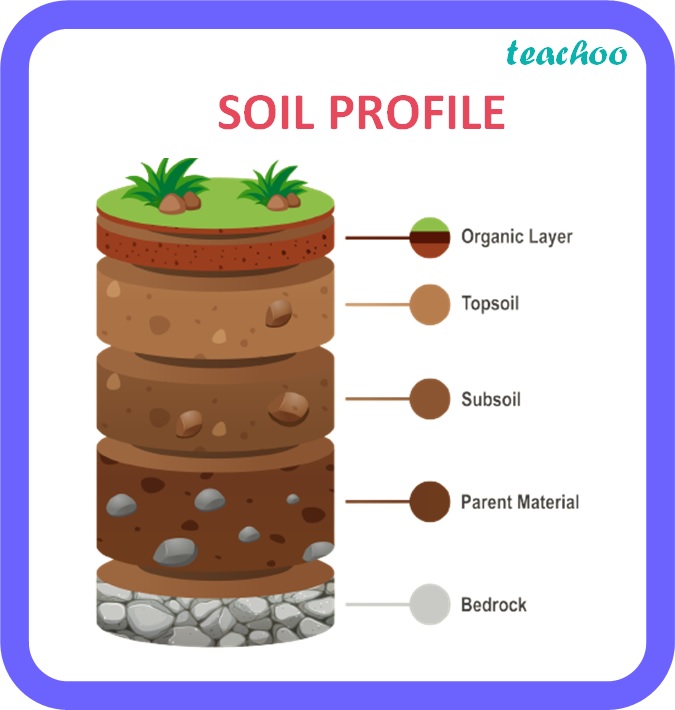 Define Soil Profile Class 8