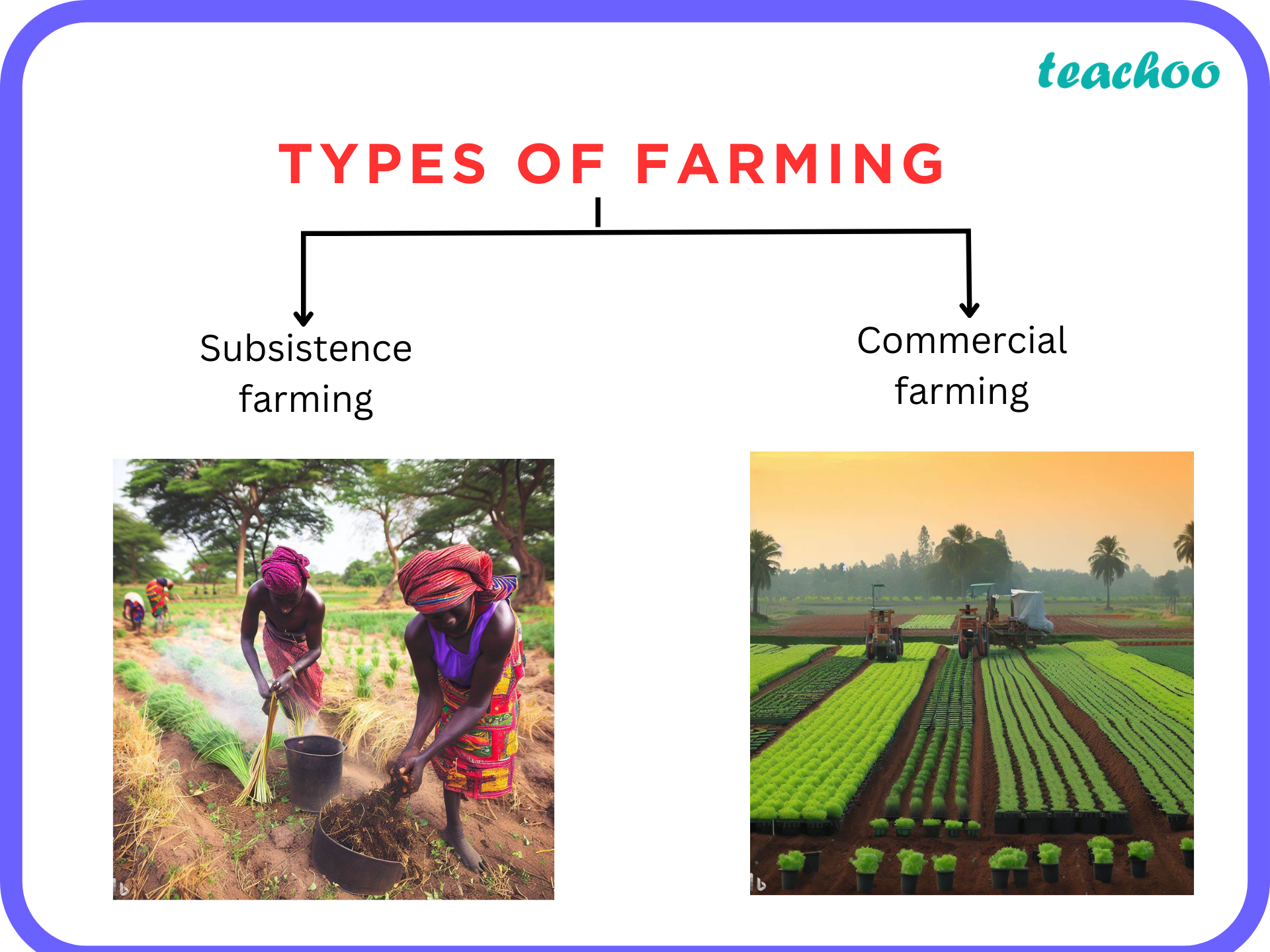 What is the difference between subsistence farming and commercial
