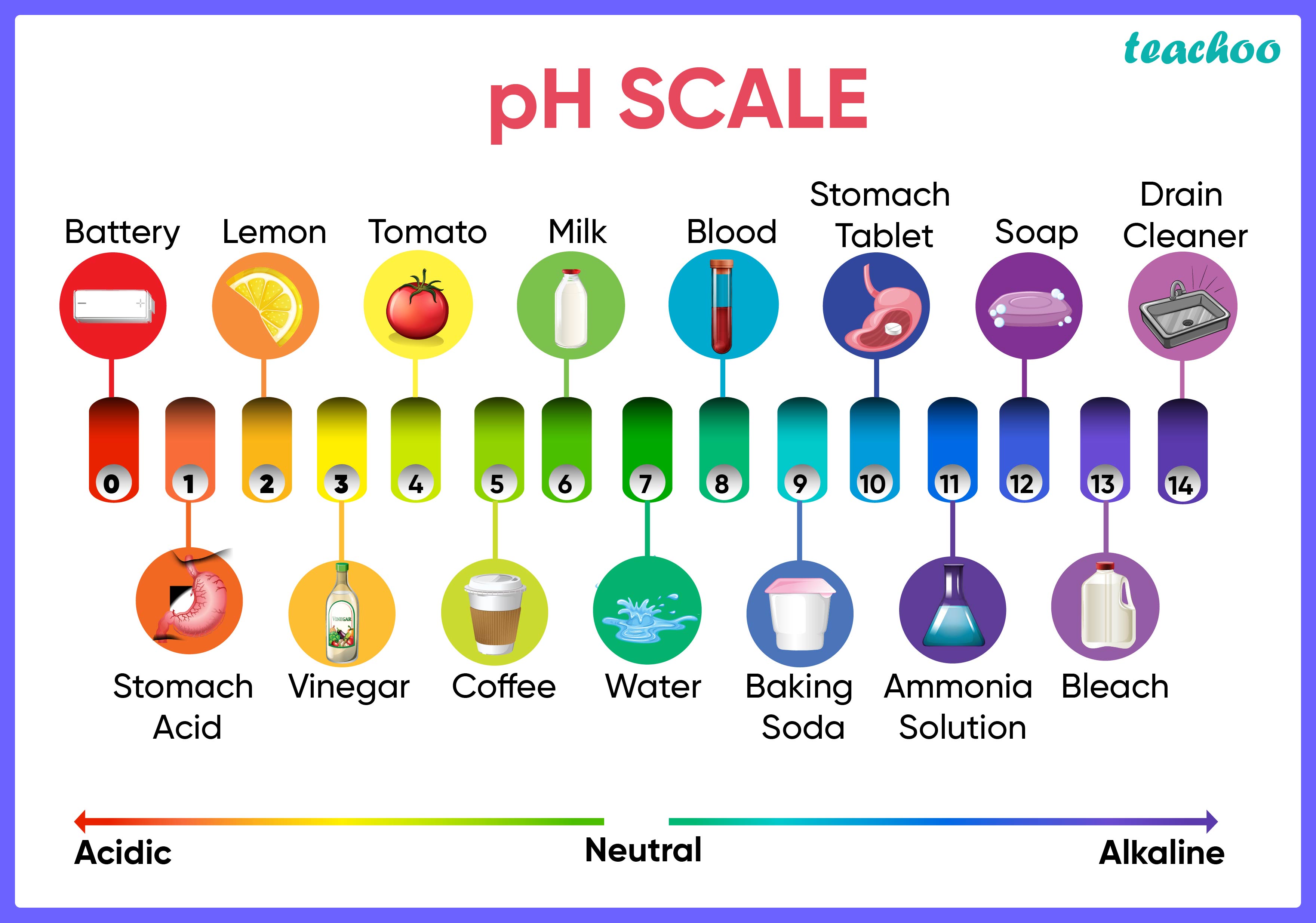  Sample Paper Anita Added A Drop Each Of Diluted Acetic Acid And