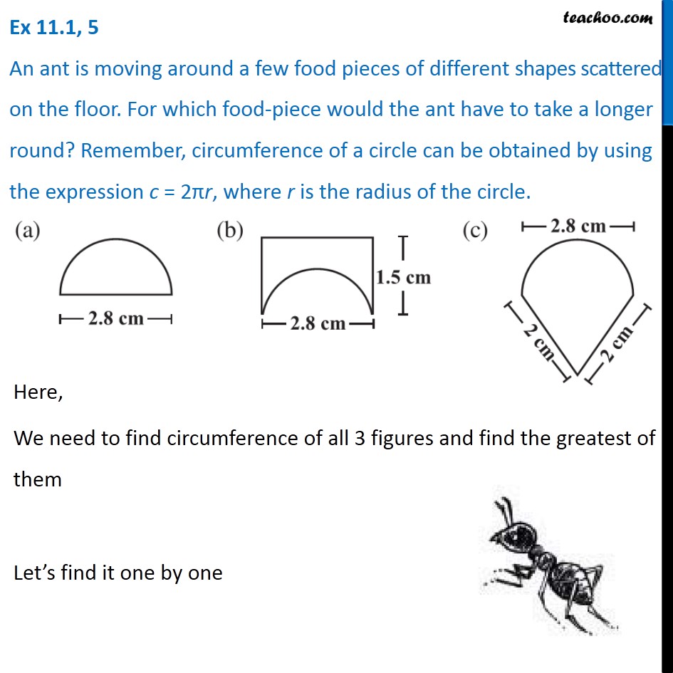 Ex 11.1, 5 - An ant is moving around a few food pieces of different