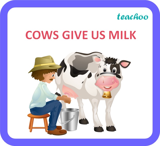 explain-how-the-milk-which-we-get-from-cows-actually-comes-from-plant