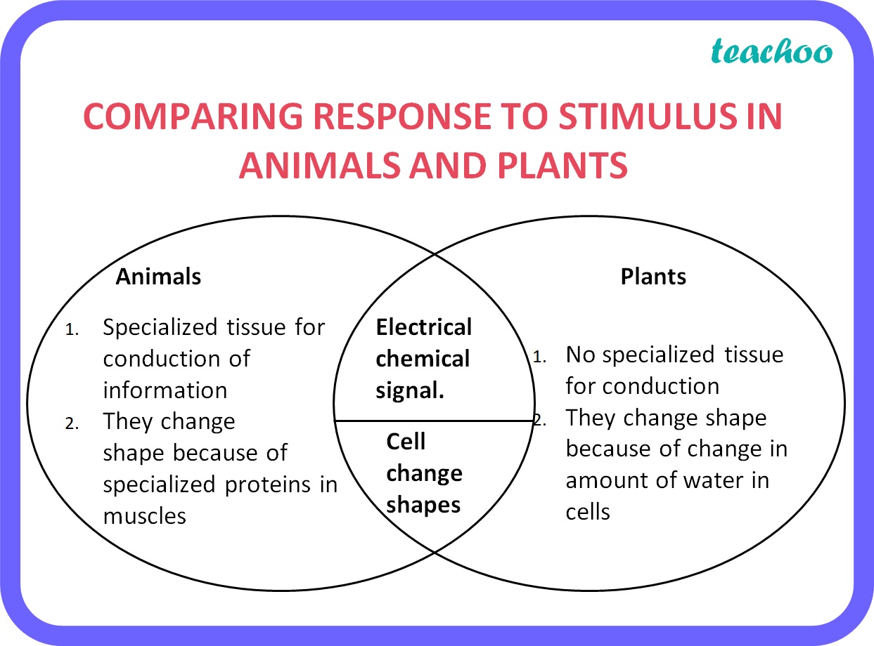 Comparing Response To Stimulus In Animals And Plants   Teachoo 