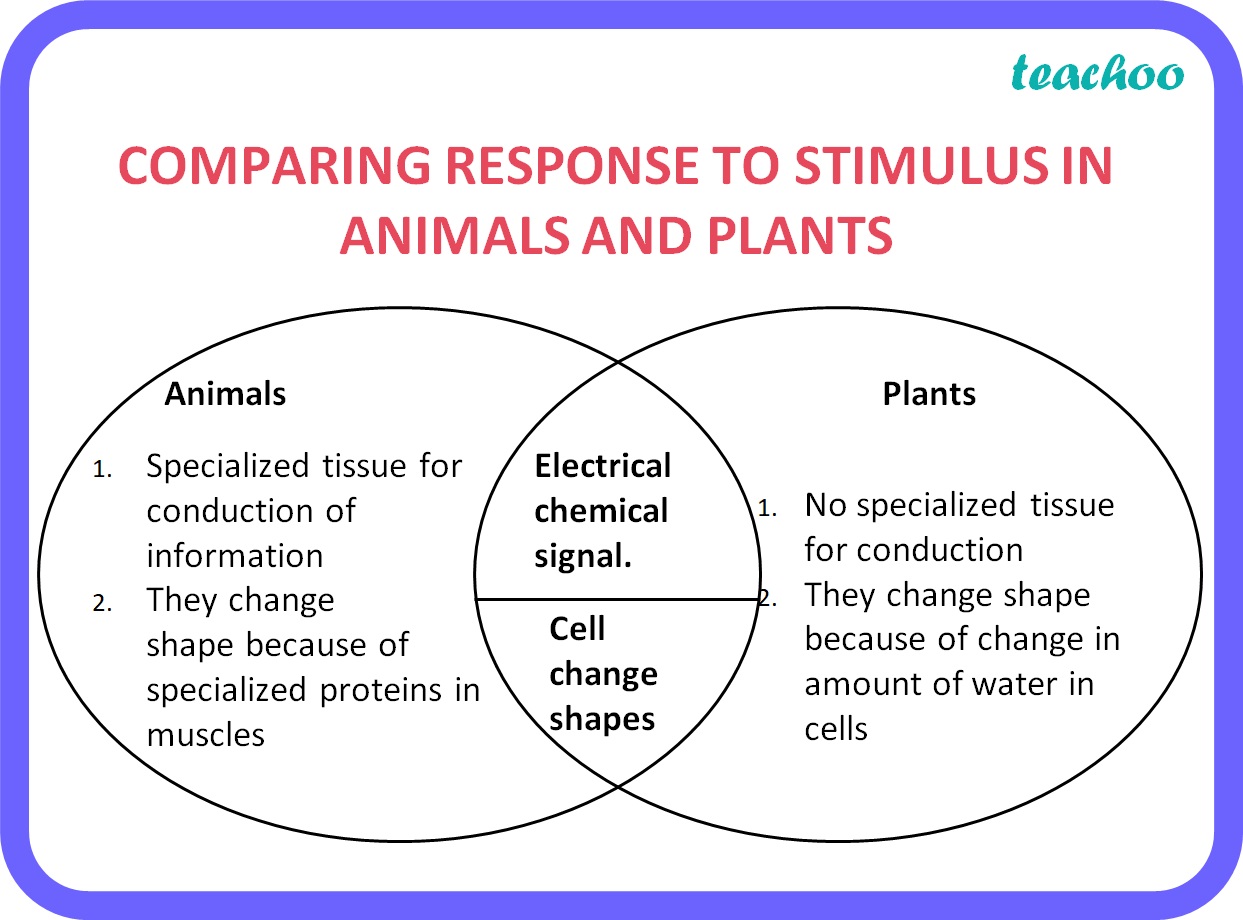 Difference Between Response To Stimulus In Animals And Plants