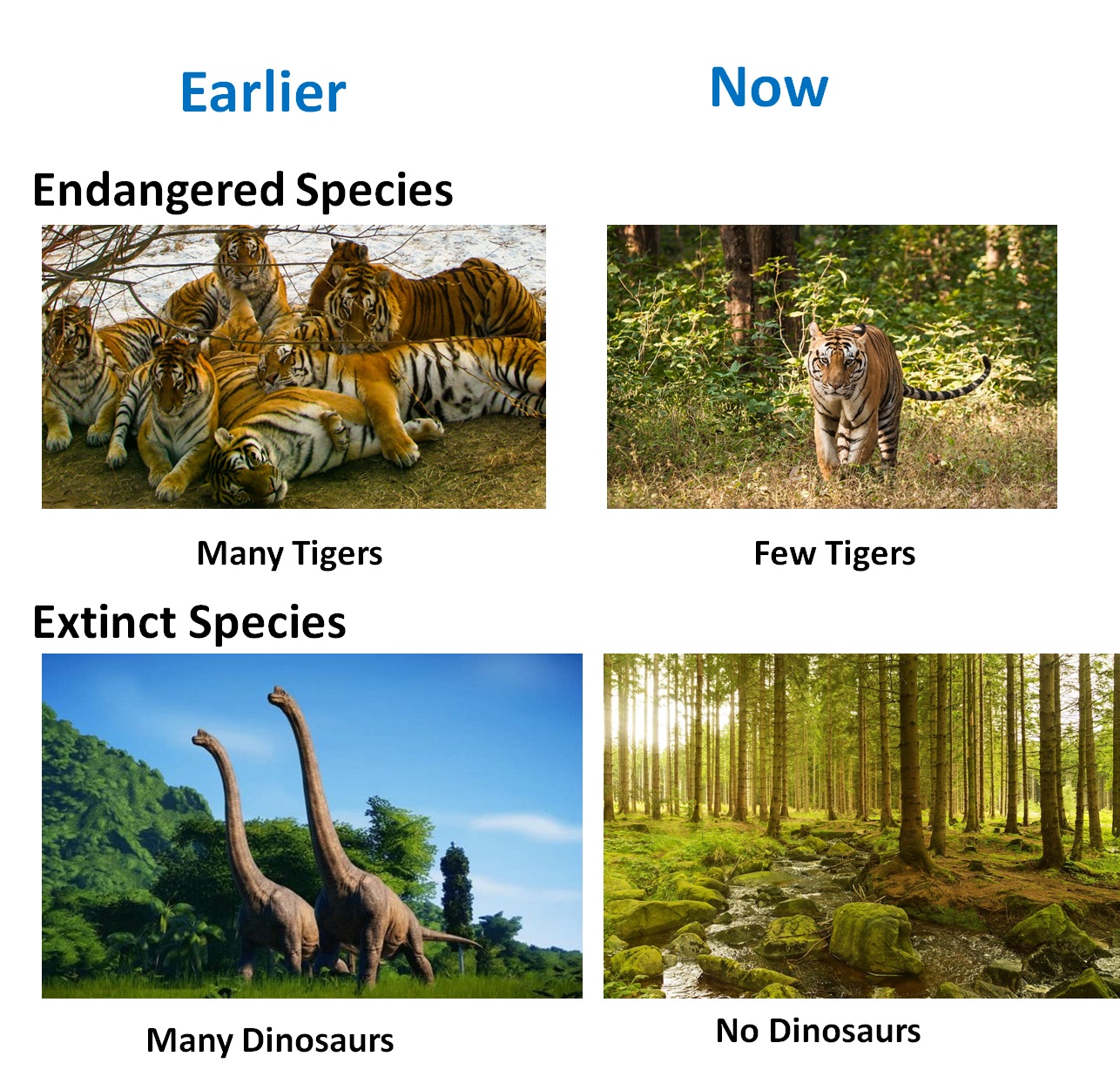 endangered and extinct species essay
