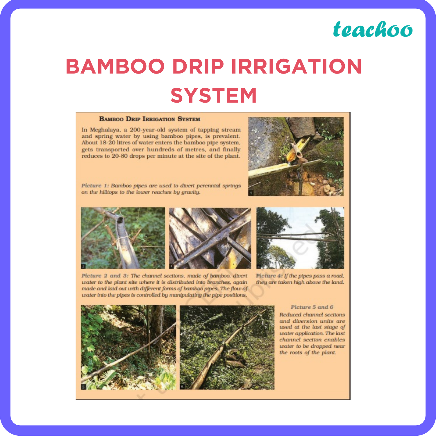 [Geography Class 10] Bamboo Drip Irrigation System - Teachoo