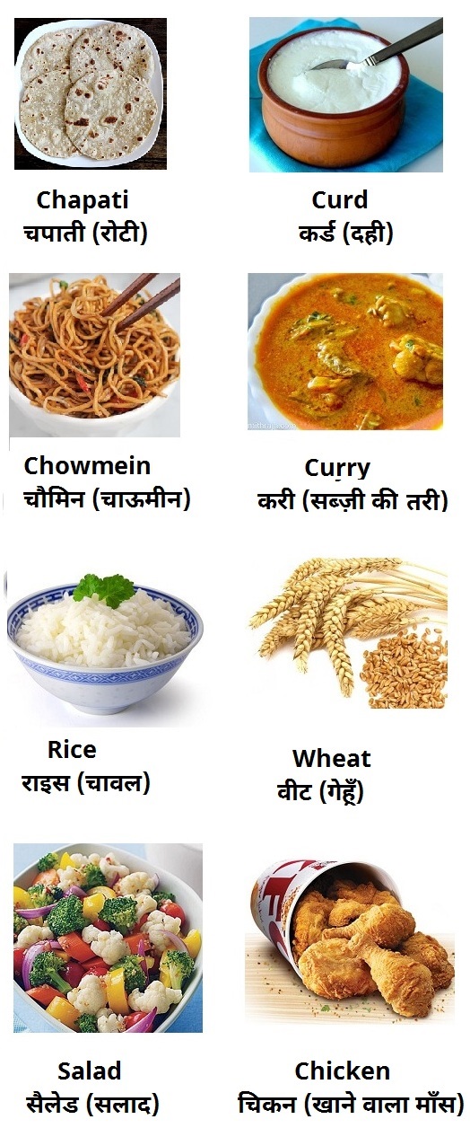 Different Types Of Food 