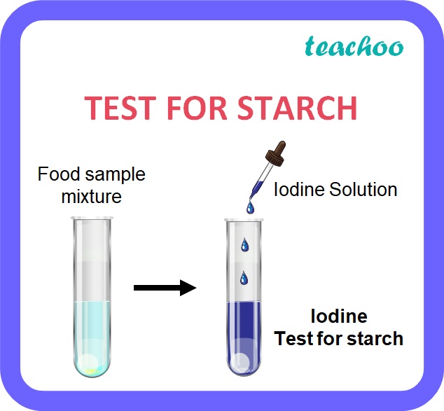 test-for-starch-carbohydrates-steps-with-images-teachoo