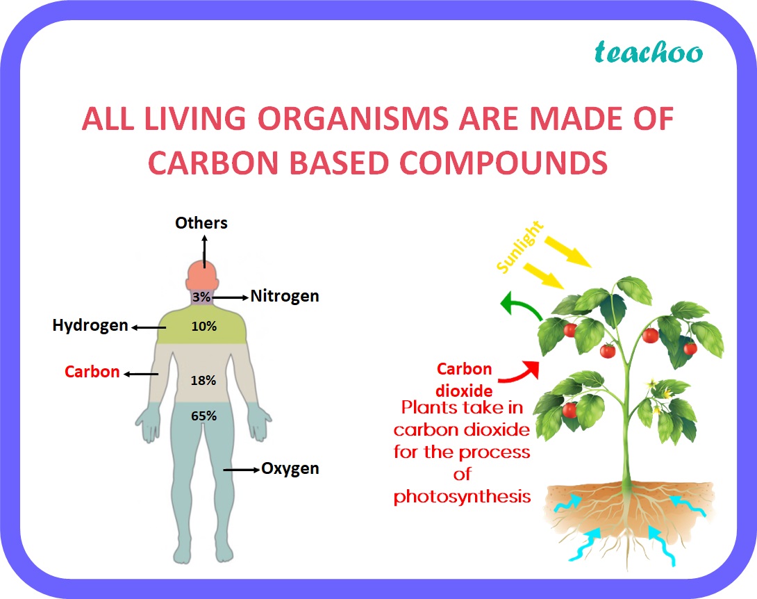 ALL LIVING ORGANISMS ARE MADE OF CARBON BASED COMPOUNDS - Teachoo.jpg