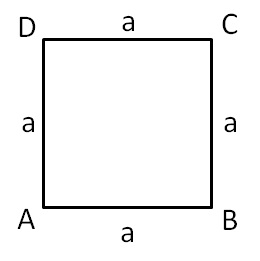 Perimeter of square - Part 2