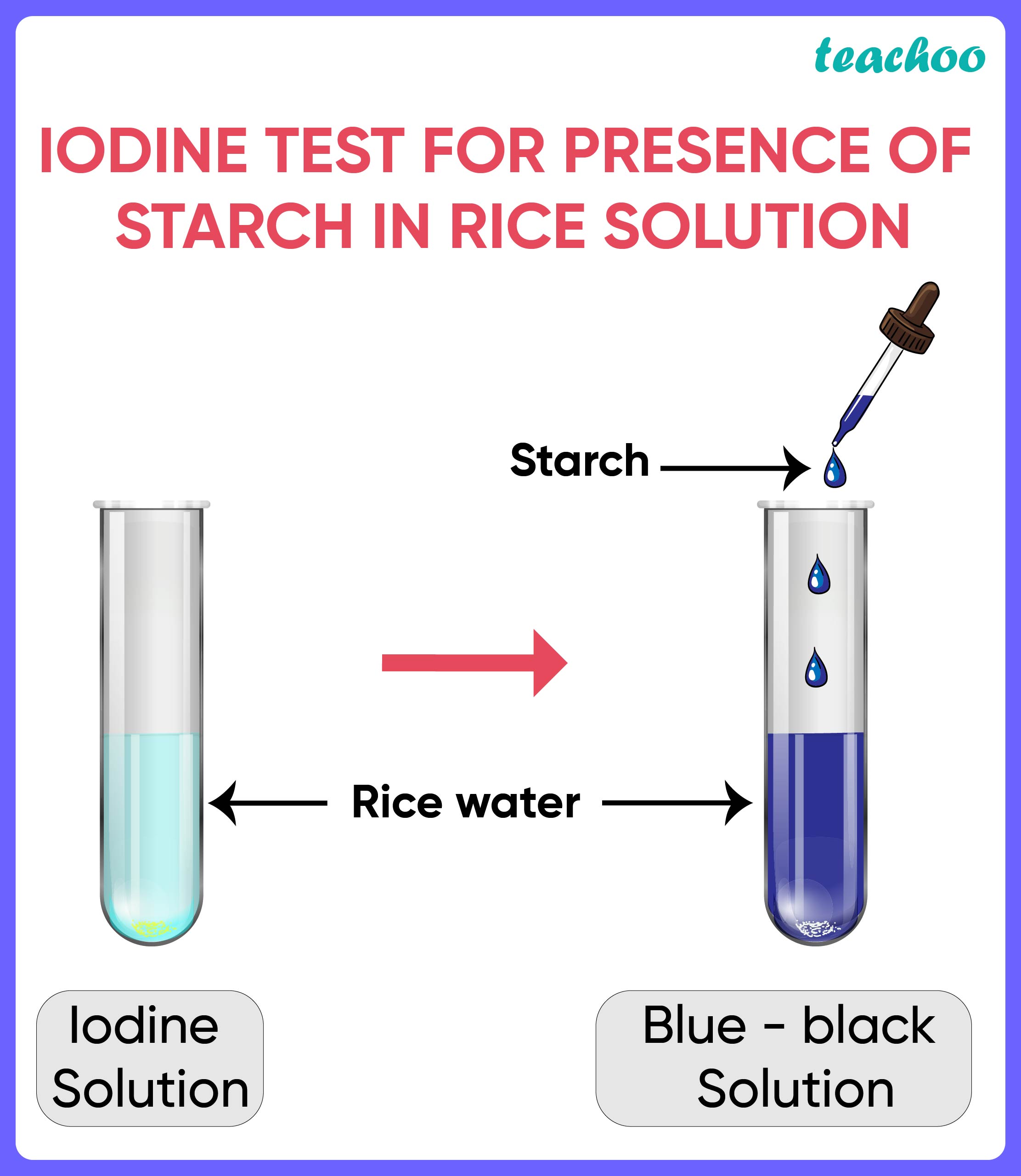 iodine solution experiment