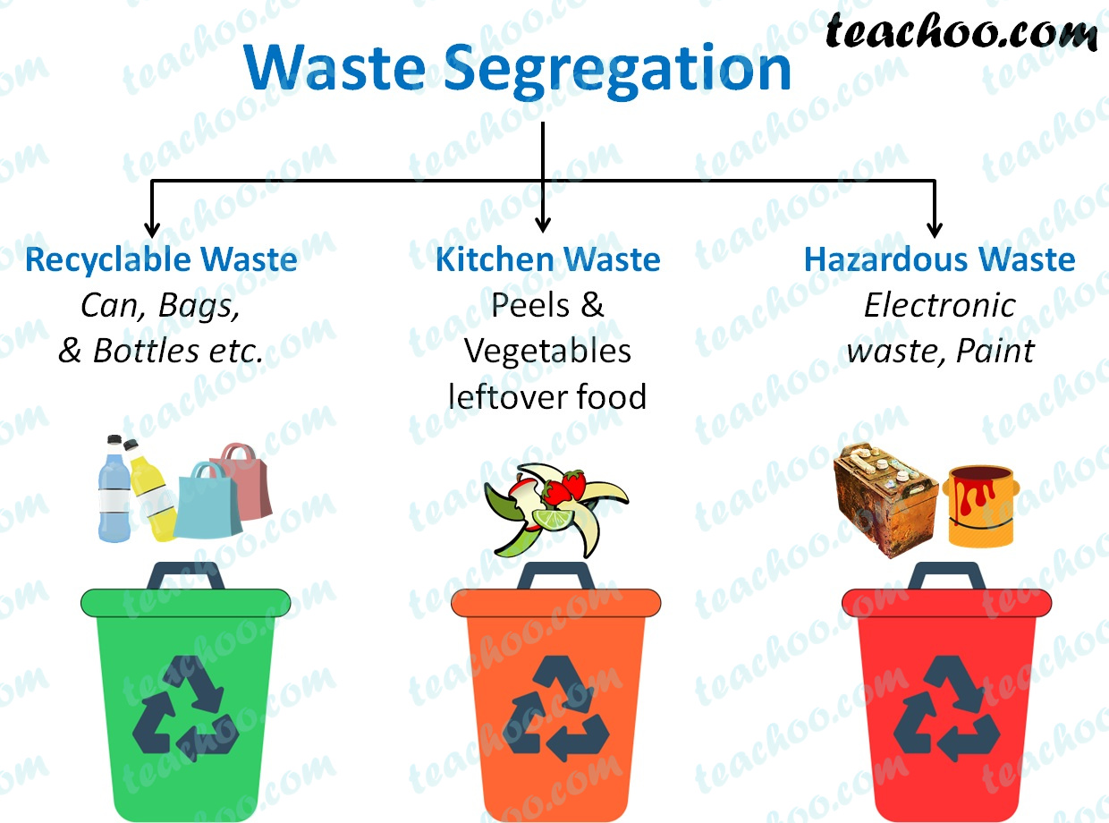 segregation of waste essay