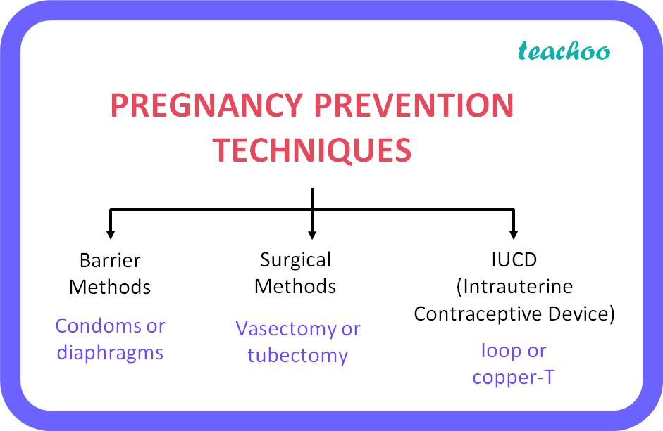 list-three-techniques-that-have-been-developed-to-prevent-pregnancy