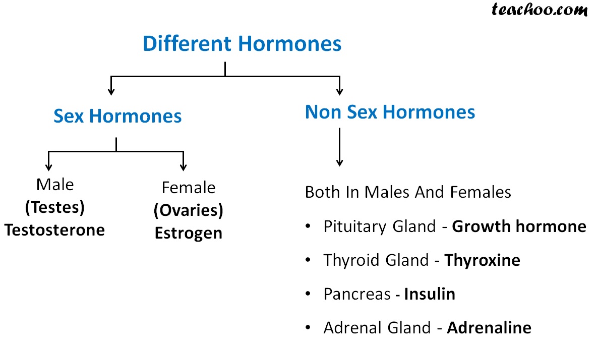 What Are The Different Sex And Non Sex Hormones Teachoo