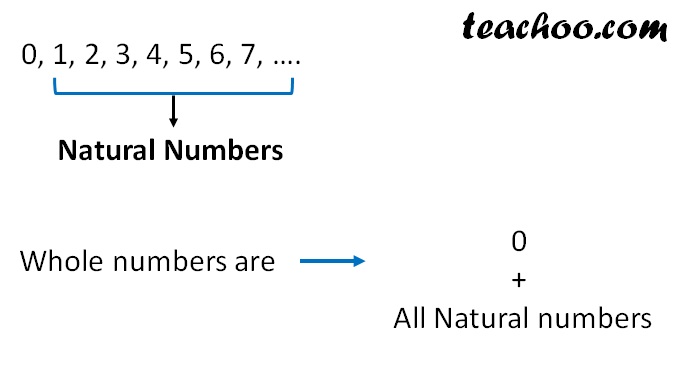 whole-numbers-definition-examples-dewwool