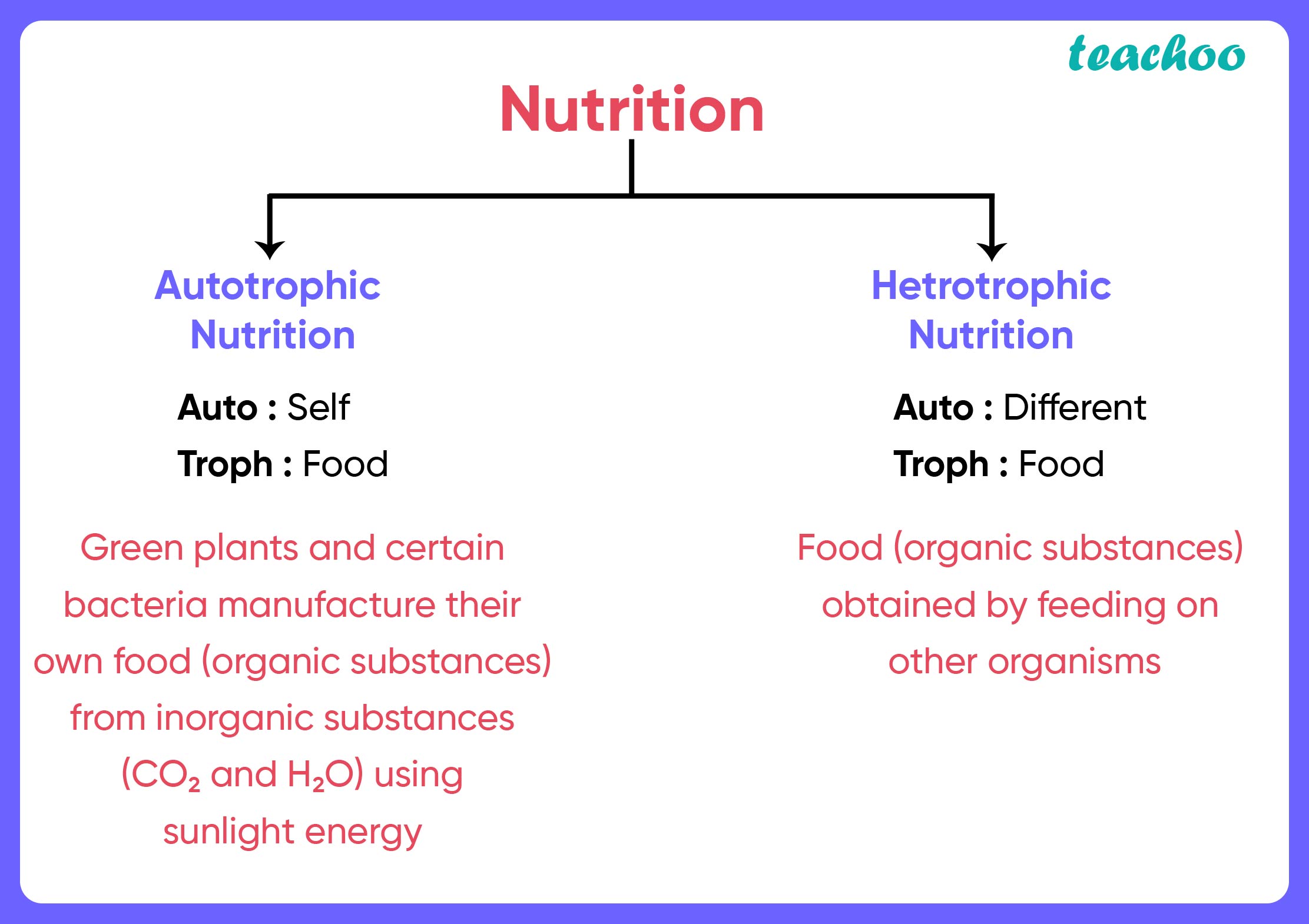 Define Autotrophic Nutrition Class 7