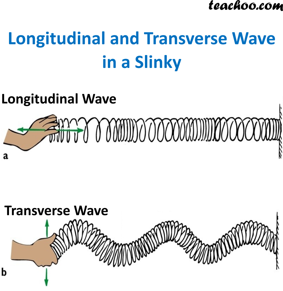 Longitudinal and Transverse Waves - Explanation ...
