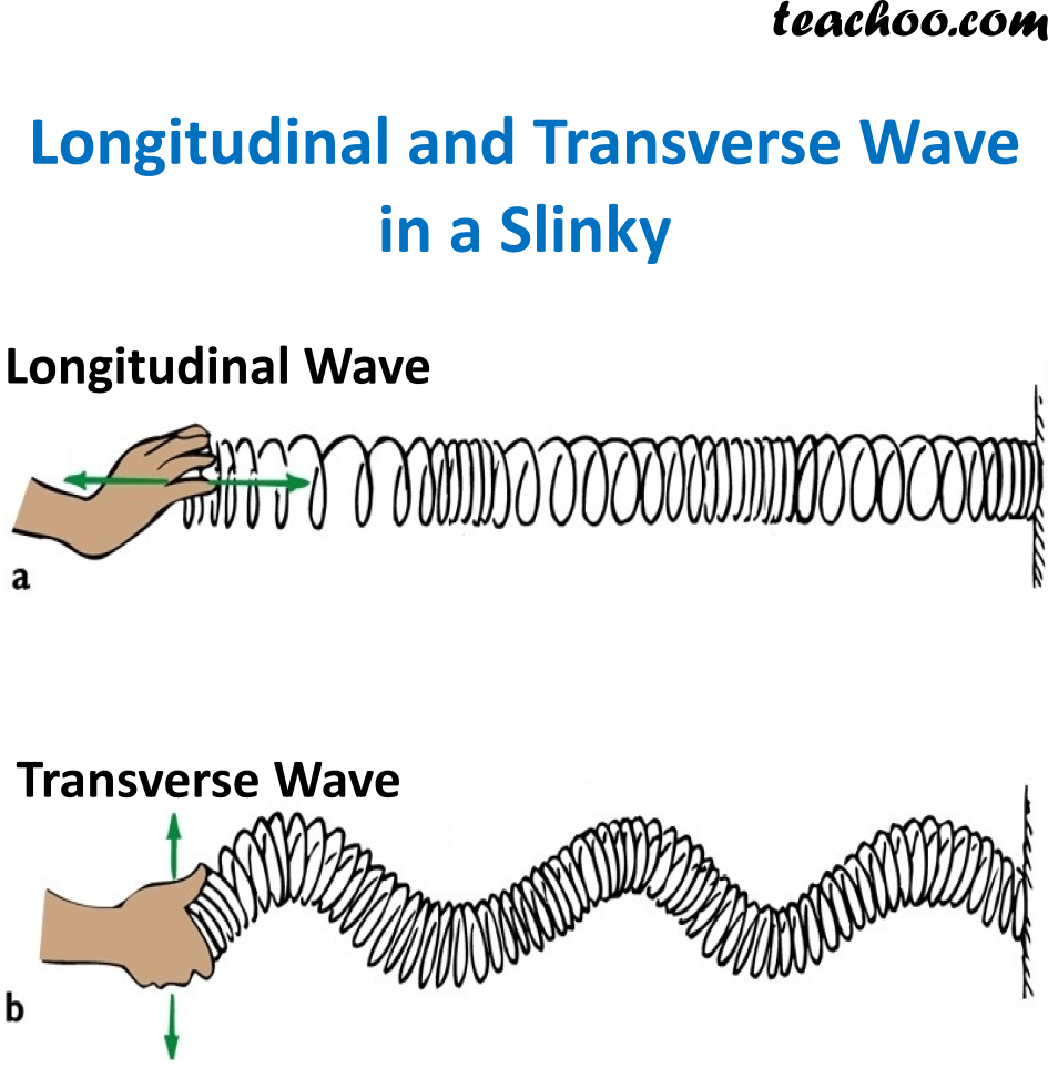 Longitudinal study. Longitudinal and transverse Waves. Examples of longitudinal Waves. A feature of a longitudinal Wave..