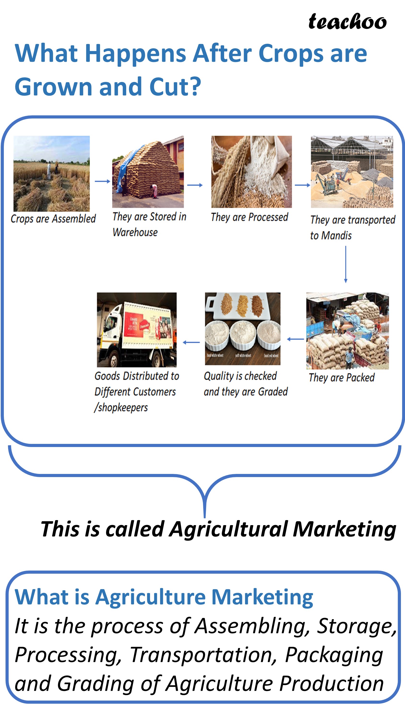 Agriculture Marketing System in India before and after Independence