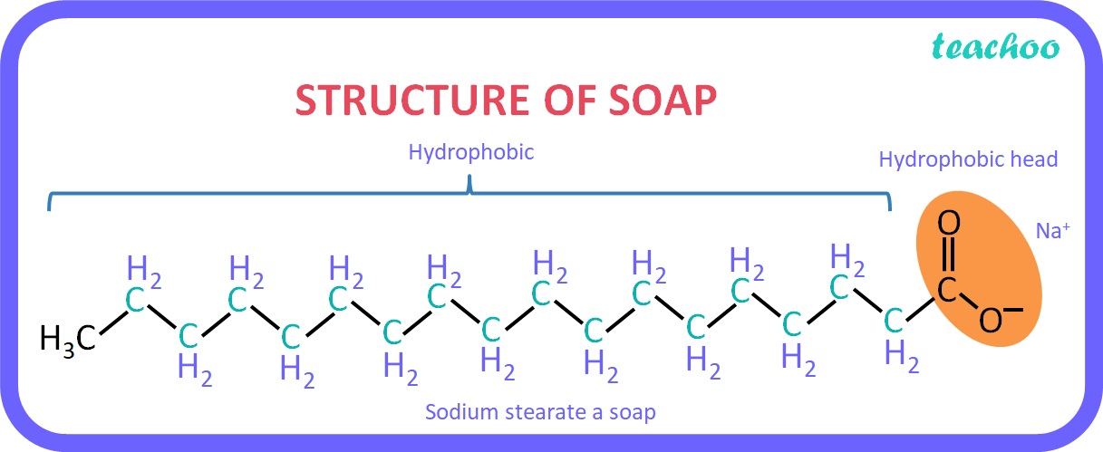 STRUCTURE OF SOAP - Teachoo.jpg