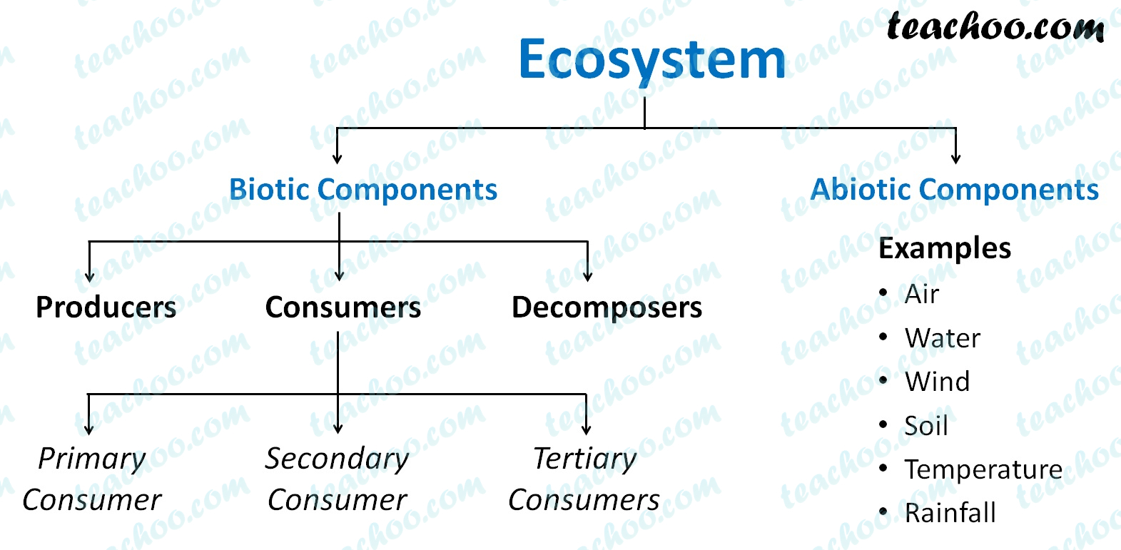 components-of-ecosystem-biotic-and-abiotic-teachoo-concepts