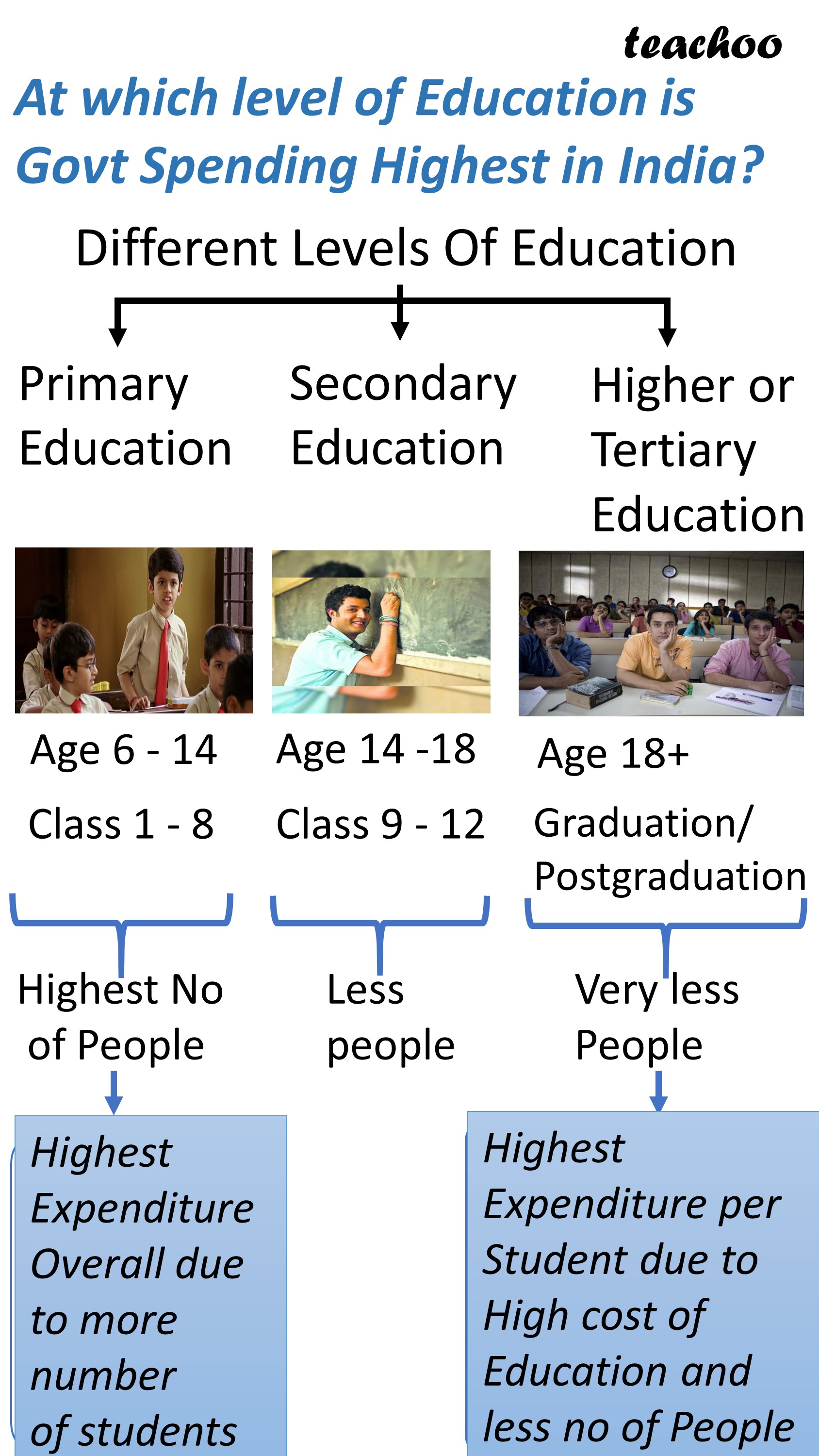 Expenditure On Primary Tertiary Education By Govt Class 12 Eco