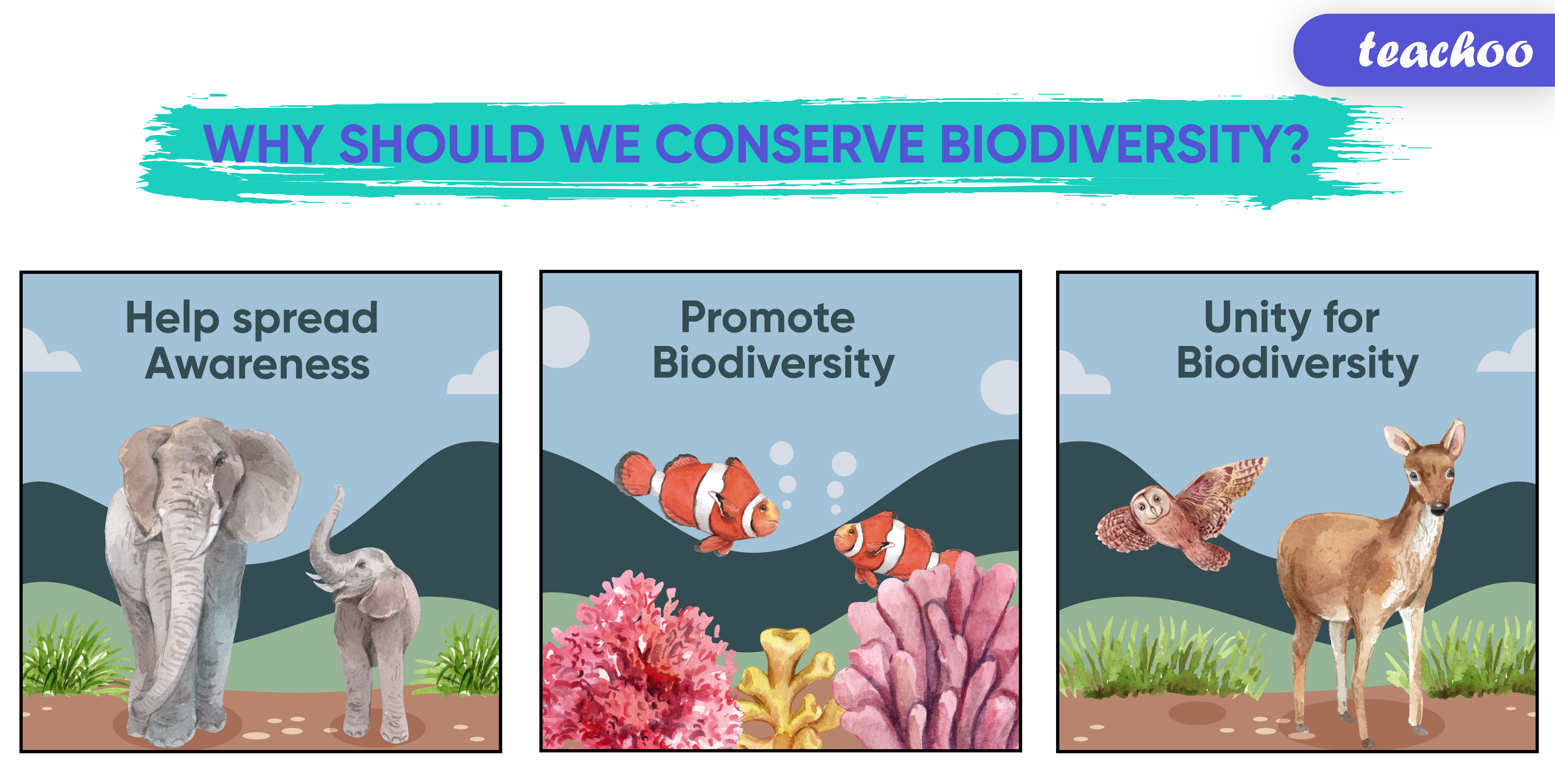 Why should we conserve biodiversity? [Explained]- Teachoo