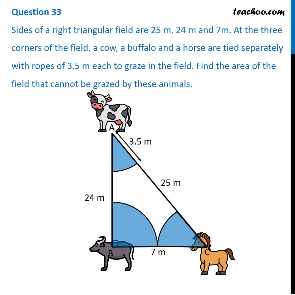 sides of a right angle triangle field are 25 24 7