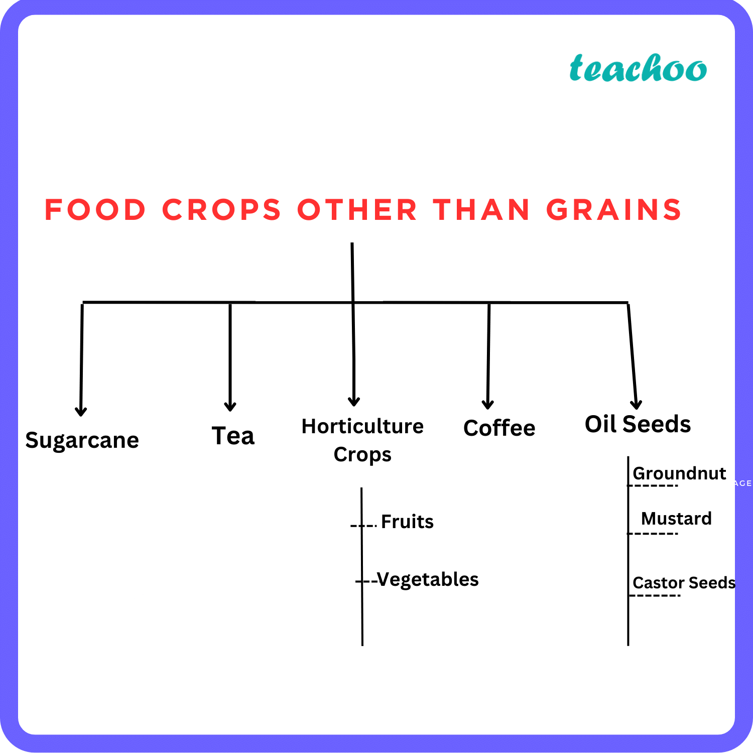 geography-food-crops-other-than-grains-teachoo-concepts