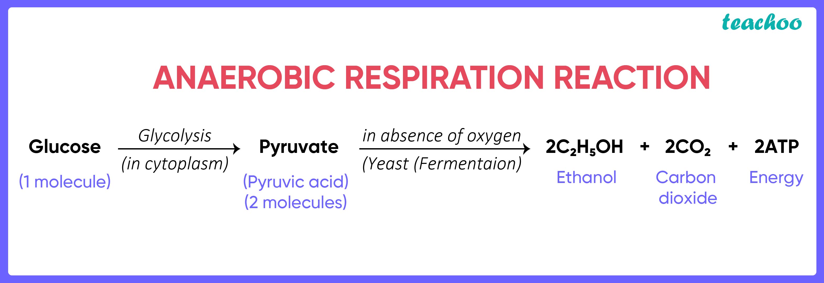 lack-of-oxygen-in-muscles-often-leads-to-cramps-among-cricketers-mcq